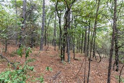 property photo for Stone Bridge Phase V Tract 401, 5.54 acres for sale in LatimerHaskell County, Oklahoma