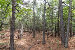 property photo for Stone Bridge Phase V Tract 401, 5.54 acres for sale in LatimerHaskell County, Oklahoma
