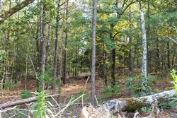property photo for Stone Bridge Phase V Tract 402, 4.73 acres for sale in LatimerHaskell County, Oklahoma