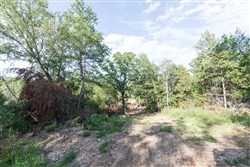 property photo for Stone Bridge Phase V Tract 402, 4.73 acres for sale in LatimerHaskell County, Oklahoma