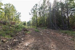 property photo for Stone Bridge Phase V Tract 402, 4.73 acres for sale in LatimerHaskell County, Oklahoma