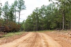 property photo for Stone Bridge Phase V Tract 403, 5.5 acres for sale in LatimerHaskell County, Oklahoma