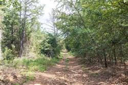 property photo for Stone Bridge Phase V Tract 407, 6.64 acres for sale in LatimerHaskell County, Oklahoma