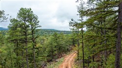 property photo for Stone Bridge Phase V Tract 409, 4.88 acres for sale in LatimerHaskell County, Oklahoma