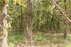 property photo for Stone Bridge Phase V Tract 409, 4.88 acres for sale in LatimerHaskell County, Oklahoma