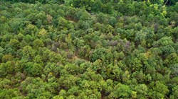 property photo for Stone Bridge Phase V Tract 416, 4.76 acres for sale in LatimerHaskell County, Oklahoma