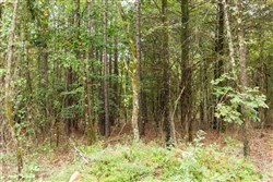 property photo for Stone Bridge Phase V Tract 416, 4.76 acres for sale in LatimerHaskell County, Oklahoma