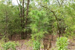 property photo for Stone Bridge Phase V Tract 416, 4.76 acres for sale in LatimerHaskell County, Oklahoma