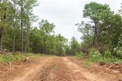 property photo for Stone Bridge Phase V Tract 419, 7.16 acres for sale in LatimerHaskell County, Oklahoma