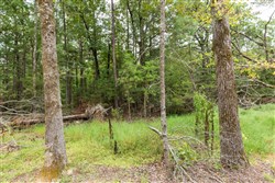 property photo for Stone Bridge Phase V Tract 419, 7.16 acres for sale in LatimerHaskell County, Oklahoma