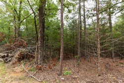 property photo for Stone Bridge Phase V Tract 419, 7.16 acres for sale in LatimerHaskell County, Oklahoma