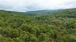 property photo for Stone Bridge Phase V Tract 419, 7.16 acres for sale in LatimerHaskell County, Oklahoma