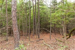 property photo for Stone Bridge Phase V Tract 419, 7.16 acres for sale in LatimerHaskell County, Oklahoma