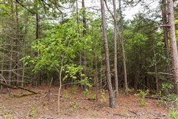 property photo for Stone Bridge Phase V Tract 419, 7.16 acres for sale in LatimerHaskell County, Oklahoma