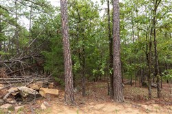 property photo for Stone Bridge Phase V Tract 420, 7.06 acres for sale in LatimerHaskell County, Oklahoma