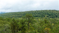 property photo for Stone Bridge Phase V Tract 420, 7.06 acres for sale in LatimerHaskell County, Oklahoma