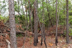property photo for Stone Bridge Phase V Tract 420, 7.06 acres for sale in LatimerHaskell County, Oklahoma