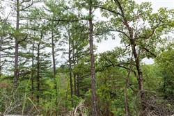 property photo for Stone Bridge Phase V Tract 422, 5.45 acres for sale in LatimerHaskell County, Oklahoma