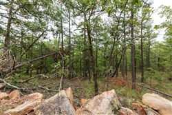 property photo for Stone Bridge Phase V Tract 422, 5.45 acres for sale in LatimerHaskell County, Oklahoma