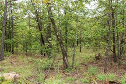 property photo for Stone Bridge Phase V Tract 422, 5.45 acres for sale in LatimerHaskell County, Oklahoma