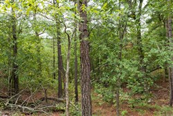 property photo for Stone Bridge Phase V Tract 422, 5.45 acres for sale in LatimerHaskell County, Oklahoma