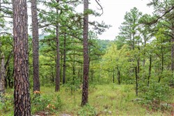 property photo for Stone Bridge Phase V Tract 425, 5.29 acres for sale in LatimerHaskell County, Oklahoma