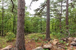 property photo for Stone Bridge Phase V Tract 425, 5.29 acres for sale in LatimerHaskell County, Oklahoma