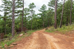property photo for Stone Bridge Phase V Tract 425, 5.29 acres for sale in LatimerHaskell County, Oklahoma