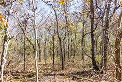 property photo for Stone Bridge Reserve Tract 10, 2.08 acres for sale in LatimerHaskell County, Oklahoma