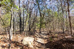 property photo for Stone Bridge Reserve Tract 10, 2.08 acres for sale in LatimerHaskell County, Oklahoma