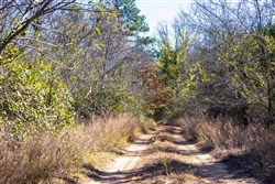 property photo for Stone Bridge Reserve Tract 11, 2.94 acres for sale in LatimerHaskell County, Oklahoma