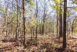 property photo for Stone Bridge Reserve Tract 11, 2.94 acres for sale in LatimerHaskell County, Oklahoma