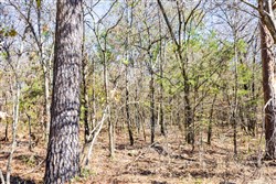 property photo for Stone Bridge Reserve Tract 11, 2.94 acres for sale in LatimerHaskell County, Oklahoma