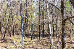 property photo for Stone Bridge Reserve Tract 11, 2.94 acres for sale in LatimerHaskell County, Oklahoma