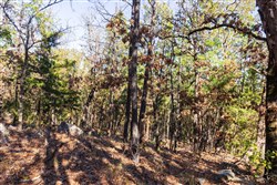 property photo for Stone Bridge Reserve Tract 15, 5.82 acres for sale in LatimerHaskell County, Oklahoma