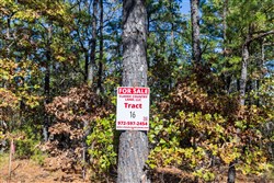 property photo for Stone Bridge Reserve Tract 16, 6.48 acres for sale in LatimerHaskell County, Oklahoma
