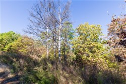 property photo for Stone Bridge Reserve Tract 16, 6.48 acres for sale in LatimerHaskell County, Oklahoma
