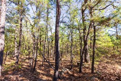 property photo for Stone Bridge Reserve Tract 16, 6.48 acres for sale in LatimerHaskell County, Oklahoma