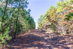 property photo for Stone Bridge Reserve Tract 16, 6.48 acres for sale in LatimerHaskell County, Oklahoma