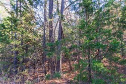 property photo for Stone Bridge Reserve Tract 26, 6.11 acres for sale in LatimerHaskell County, Oklahoma