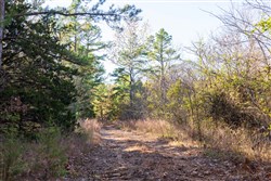 property photo for Stone Bridge Reserve Tract 26, 6.11 acres for sale in LatimerHaskell County, Oklahoma