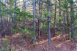 property photo for Stone Bridge Reserve Tract 26, 6.11 acres for sale in LatimerHaskell County, Oklahoma