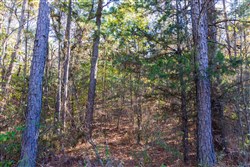 property photo for Stone Bridge Reserve Tract 26, 6.11 acres for sale in LatimerHaskell County, Oklahoma