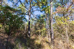 property photo for Stone Bridge Reserve Tract 28, 12.11 acres for sale in LatimerHaskell County, Oklahoma