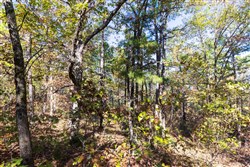 property photo for Stone Bridge Reserve Tract 28, 12.11 acres for sale in LatimerHaskell County, Oklahoma