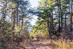 property photo for Stone Bridge Reserve Tract 29, 6.8 acres for sale in LatimerHaskell County, Oklahoma