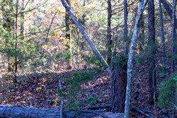property photo for Stone Bridge Reserve Tract 29, 6.8 acres for sale in LatimerHaskell County, Oklahoma