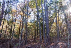 property photo for Stone Bridge Reserve Tract 29, 6.8 acres for sale in LatimerHaskell County, Oklahoma