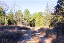 property photo for Stone Bridge Reserve Tract 31, 4.26 acres for sale in LatimerHaskell County, Oklahoma