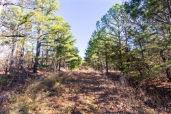 property photo for Stone Bridge Reserve Tract 4, 8.2 acres for sale in LatimerHaskell County, Oklahoma